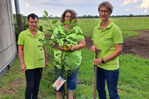 Baumpflanzaktion Juni2025