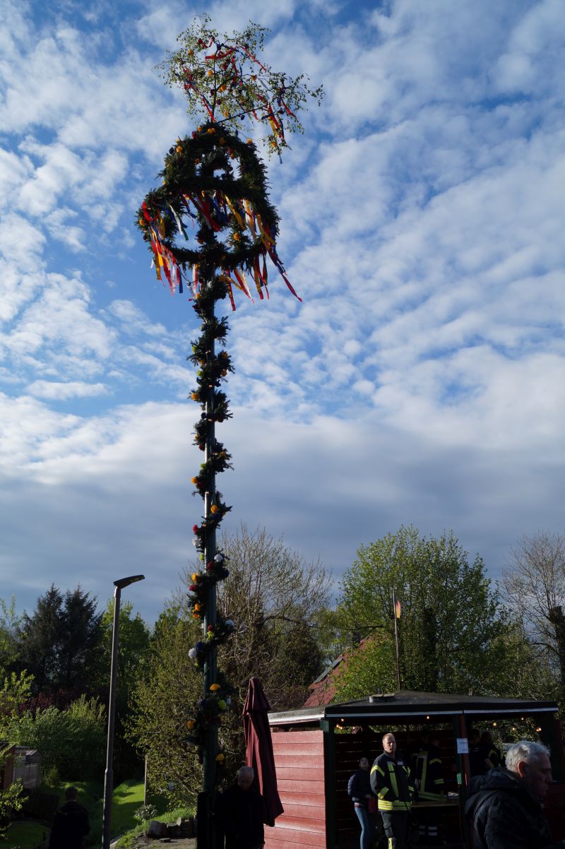 Maibaum3