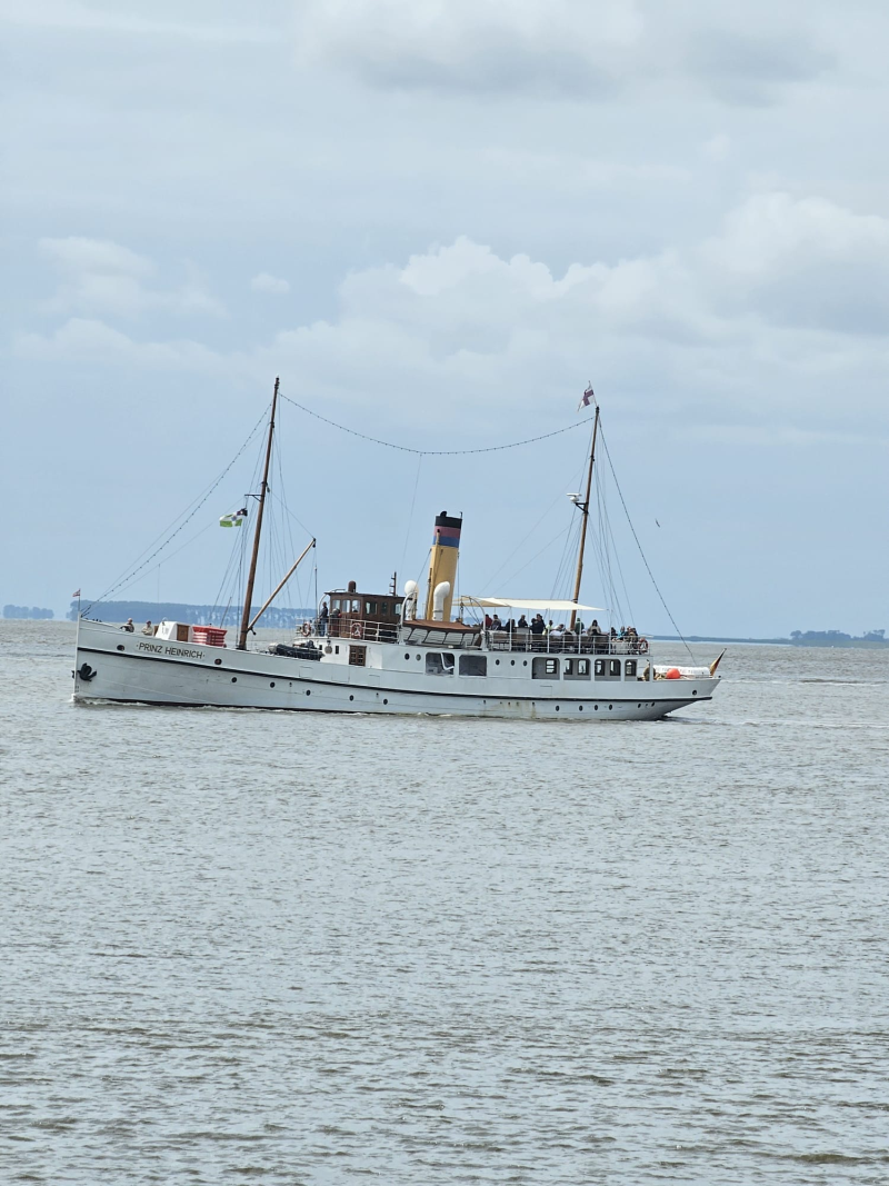 PRINZ10